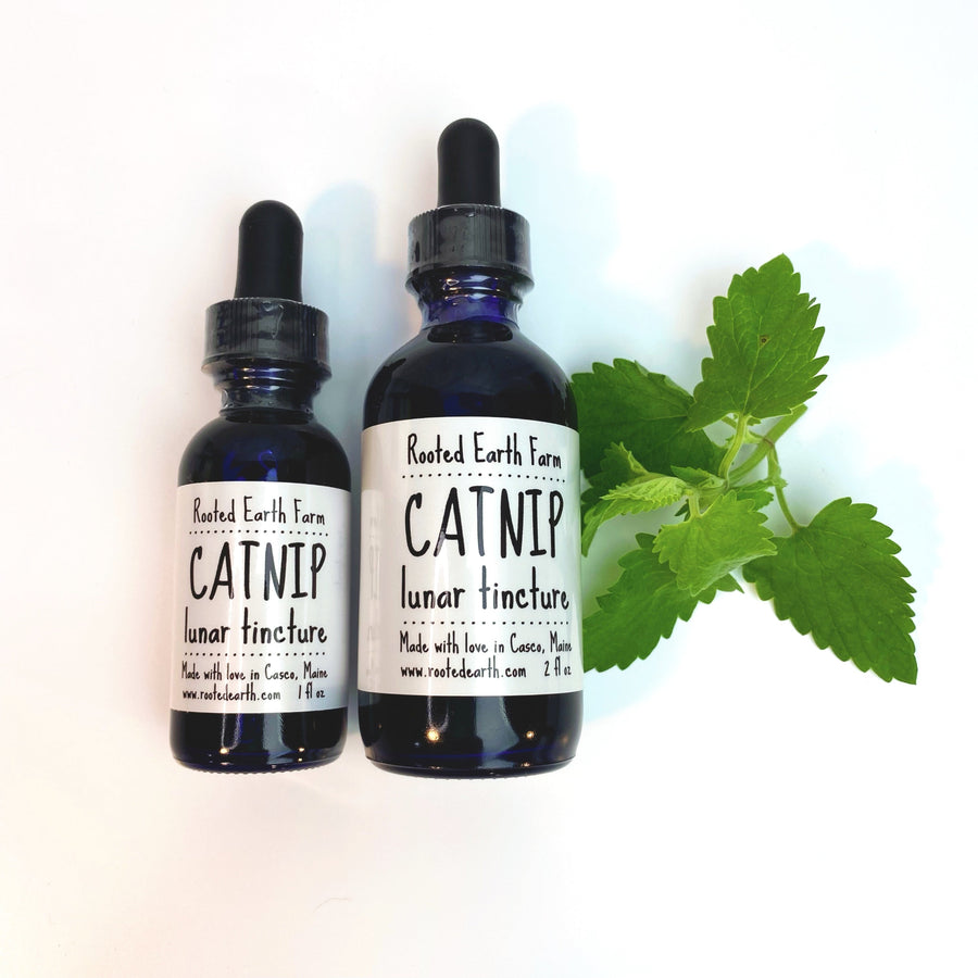 catnip extract, herbal tincture, gluten free