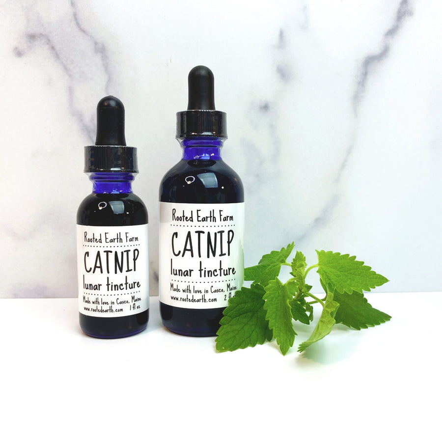 catnip tincture, catnip extract, herbal tincture