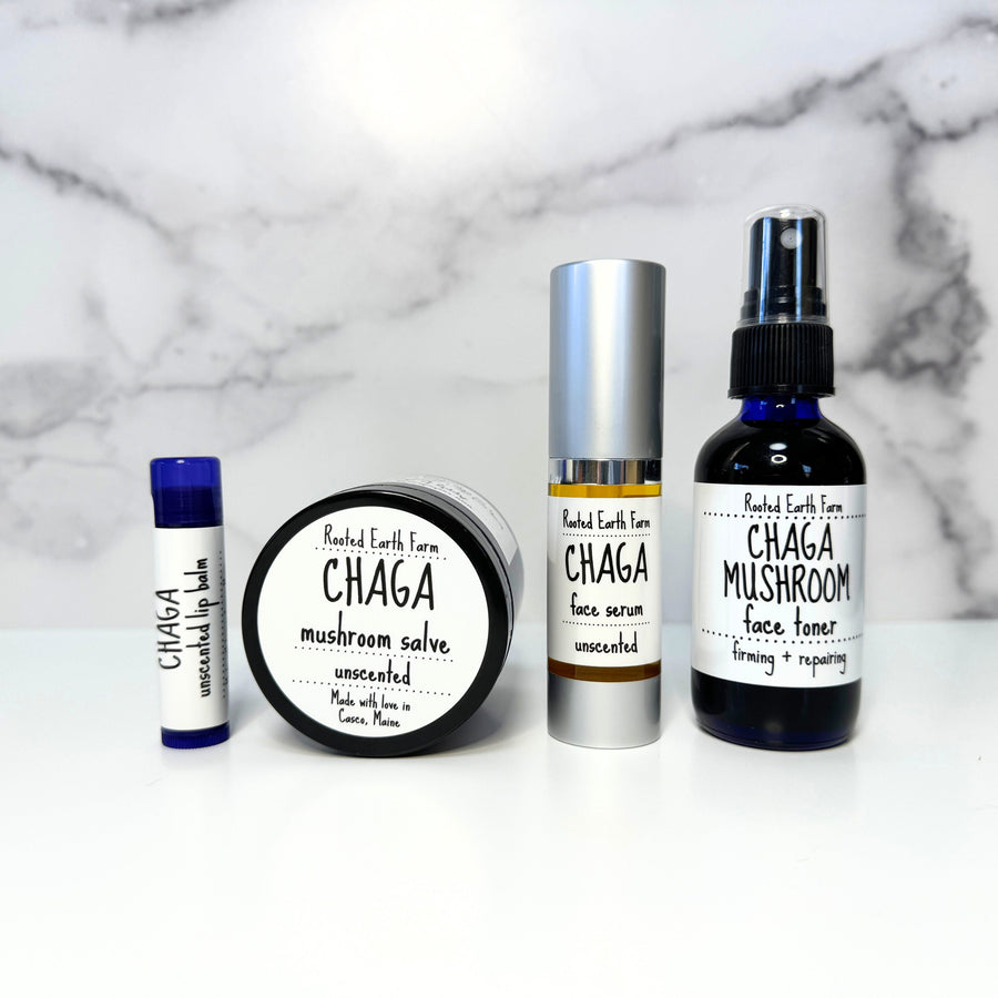 chaga mushroom infused skin care gift kit, natural, plant based, small batch, apothecary 