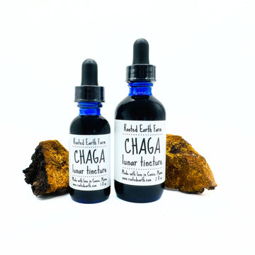 chaga mushroom tincture, gluten free