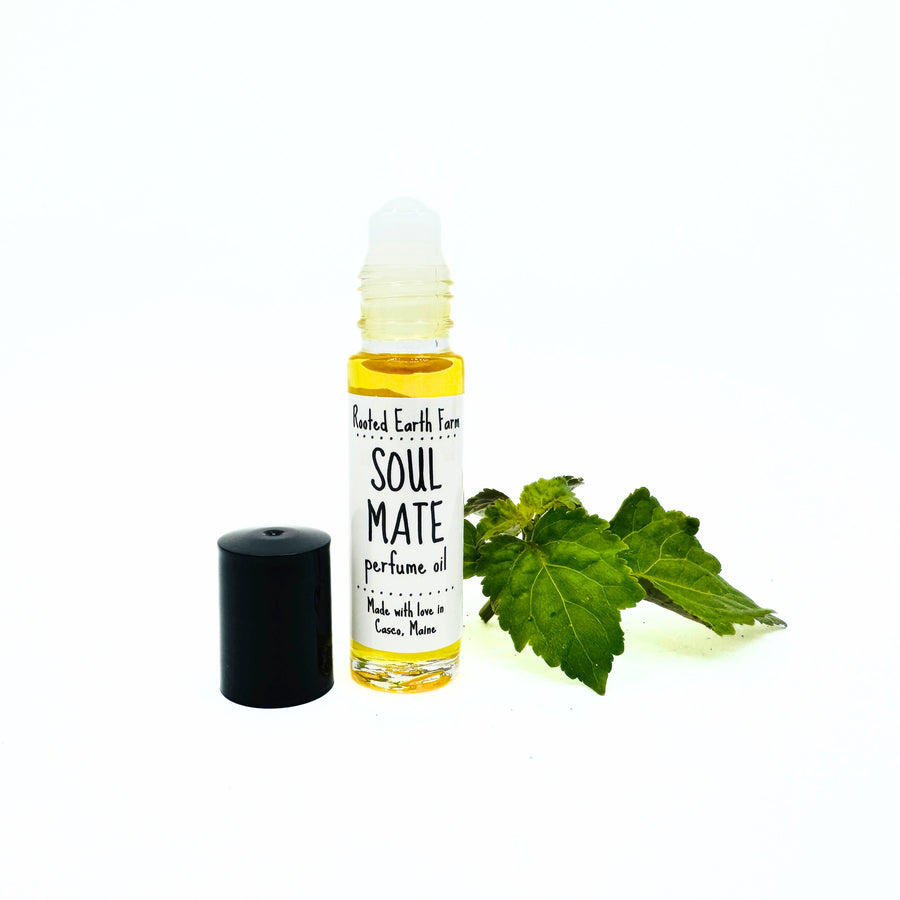 citrus patchouli perfume