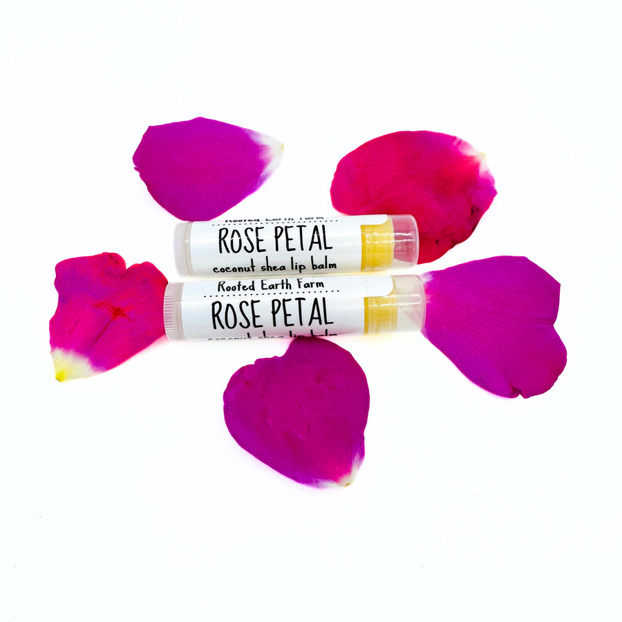 coconut shea butter rose petal lip balm
