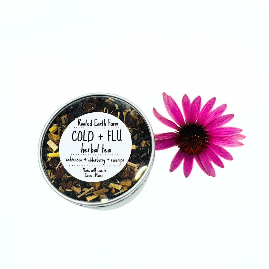 echinacea elderberry rosehip herbal tea