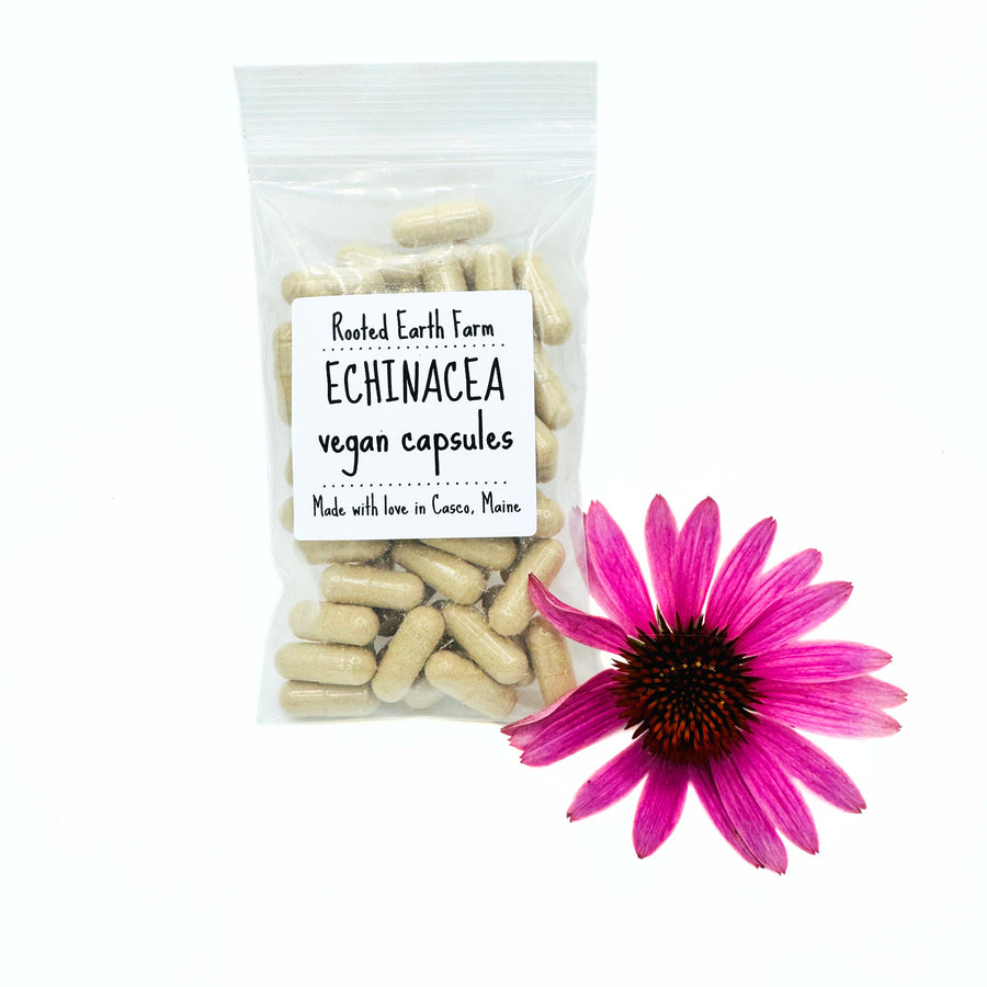 echinacea root vegan capsules