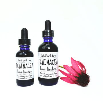 echinacea tincture, herbal supplement, echinacea extract, gluten free