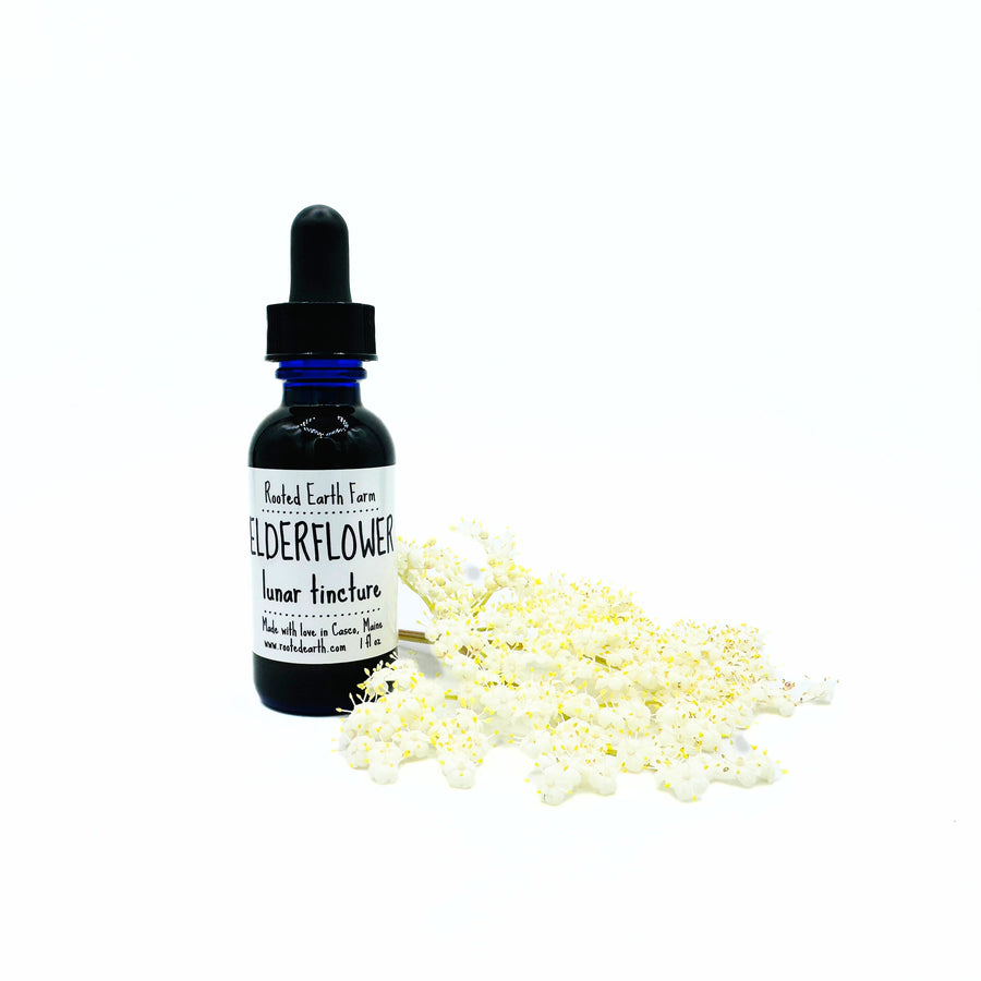 elder flower tincture