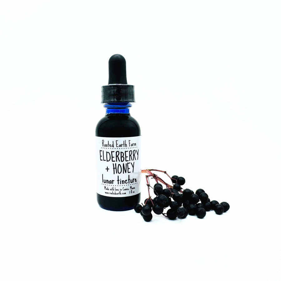 elderberry and honey extract