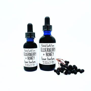 elderberry and honey tincture