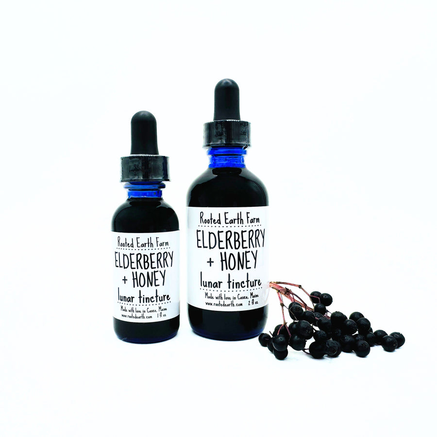 elderberry and honey tincture