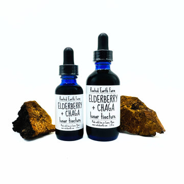 elderberry chaga tincture, gluten free herbal tincture, elderberry extract, maine chaga mushroom tincture