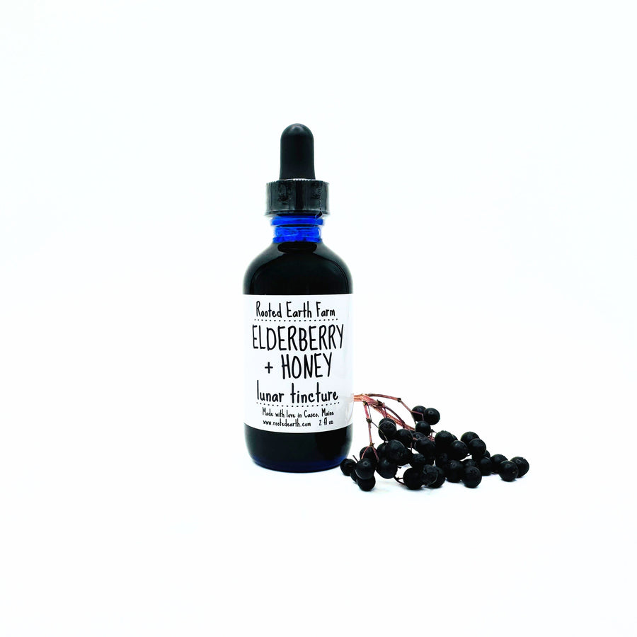 elderberry extract with honey
