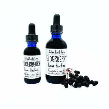 elderberry tincture