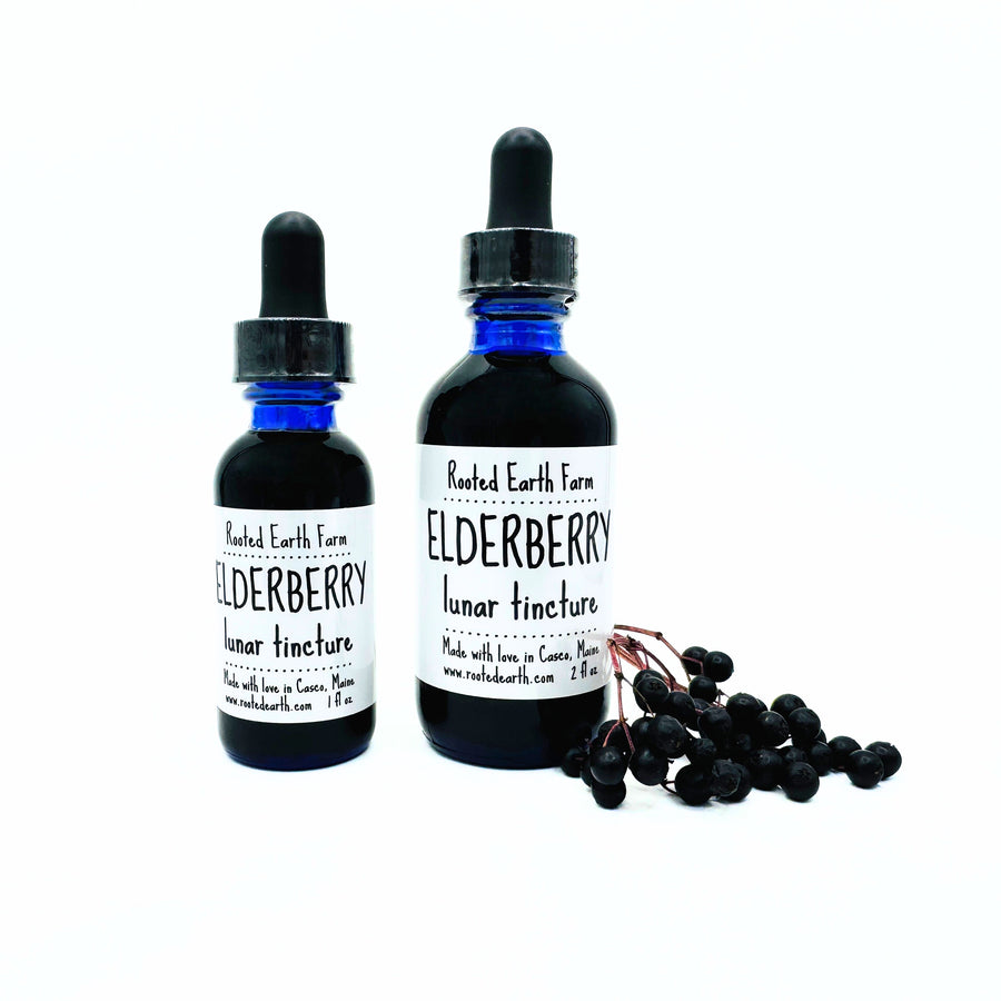 elderberry tincture