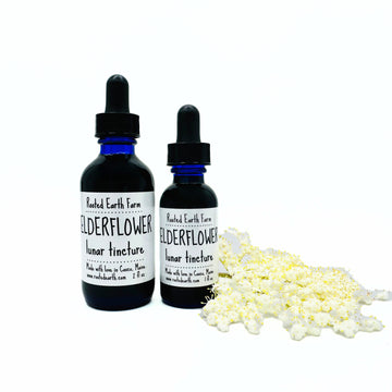 elderflower extract