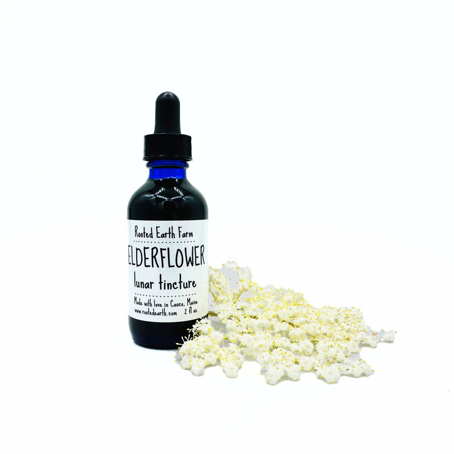 elderflower tincture gluten free