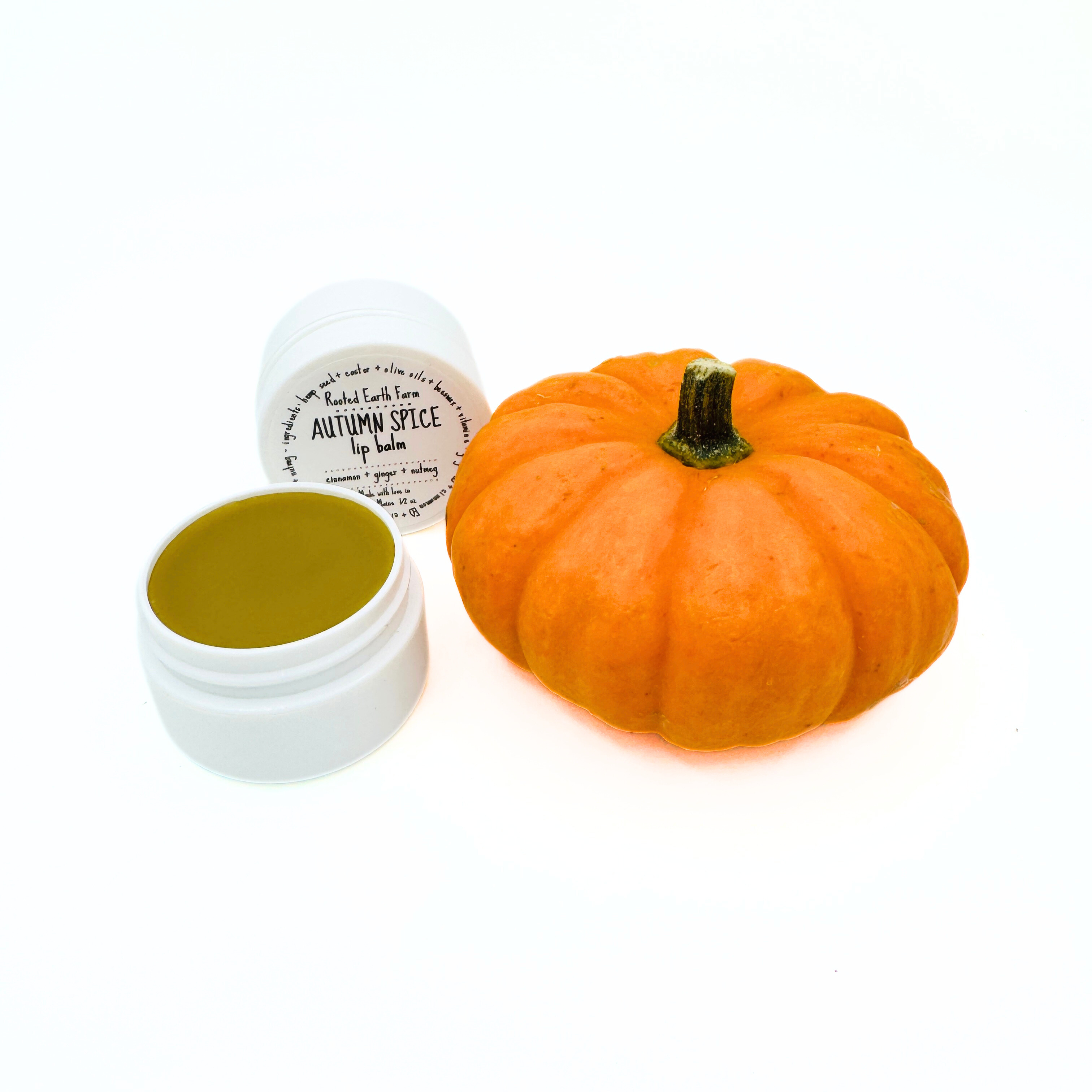 Autumn Spice Lip Balm - Pumpkin Spice Scented – Rooted Earth Farm