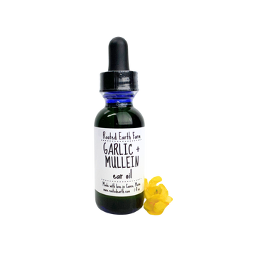 garlic mullein ear oil, ear oil, garlic ear oil, mullein flower ear oil, natural ear oil