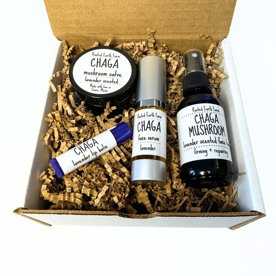 gift set chaga skin care, facial toner, face serum, natural lip balm, infused salve, plant based, organic oils