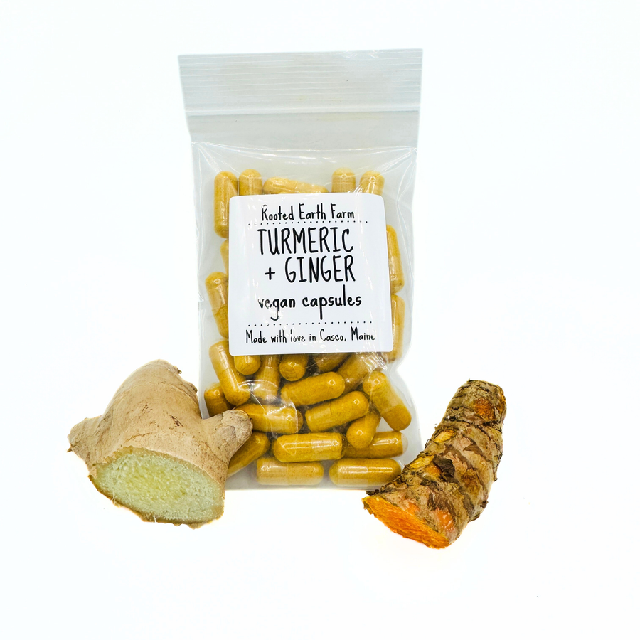 ginger and turmeric vegan capsules