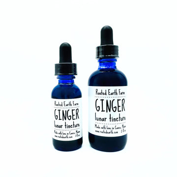 ginger tincture, ginger supplement, ginger extract, gluten free, organic ginger