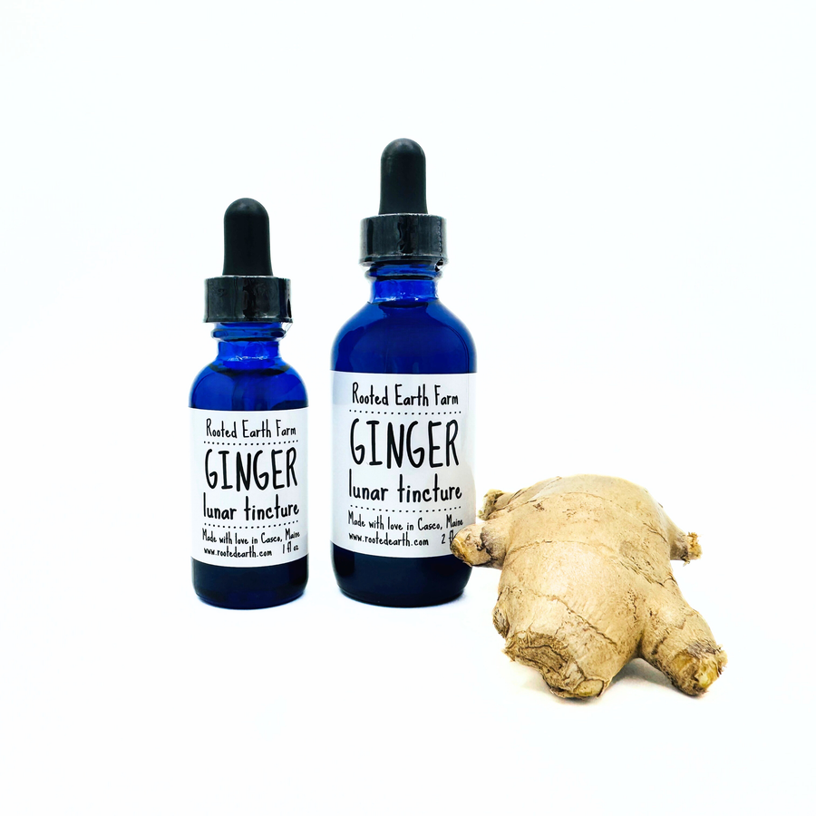 ginger tincture