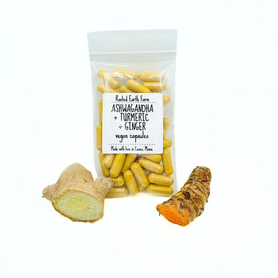 ginger turmeric ashwagandha capsules supplement