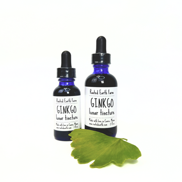 ginkgo tincture, ginkgo extract, ginkgo supplement, gluten free