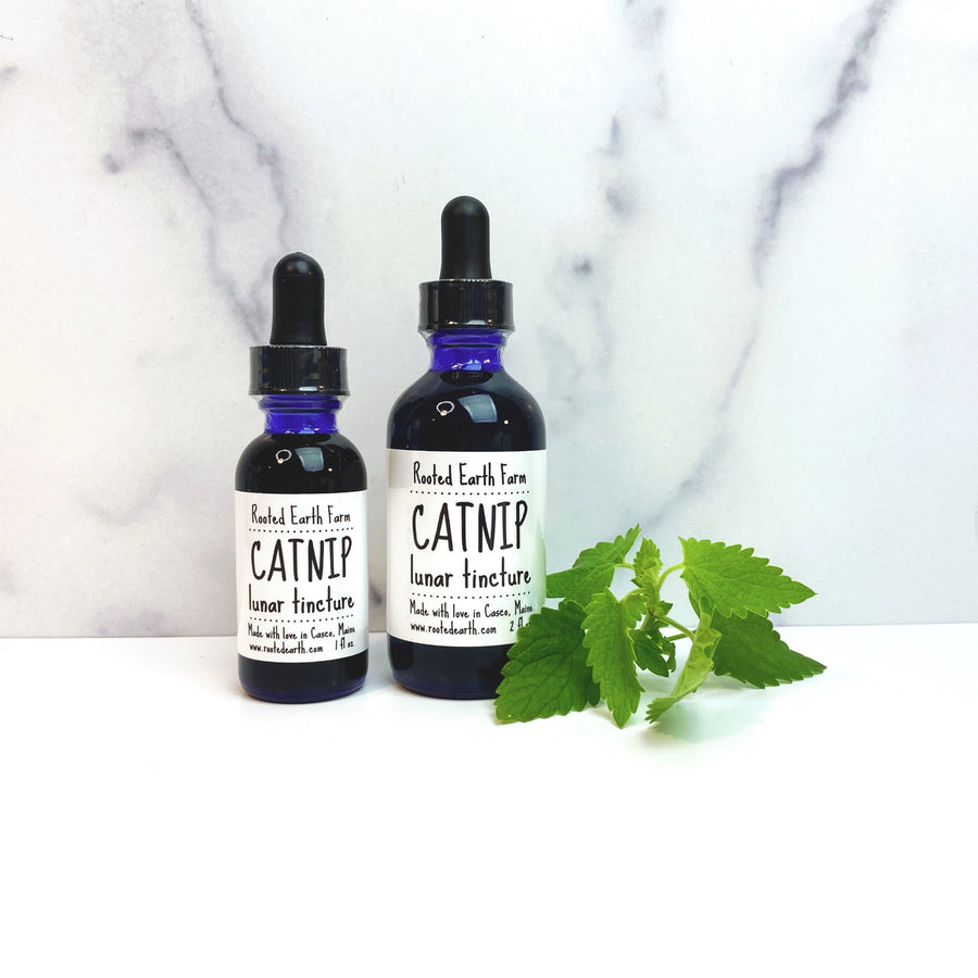 gluten free catnip extract tincture, organic catnip