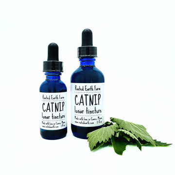 gluten free catnip tincture
