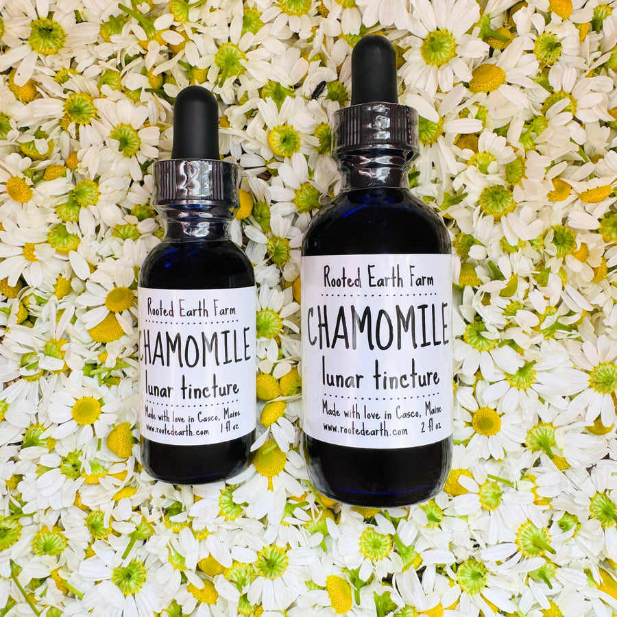 gluten free chamomile extract