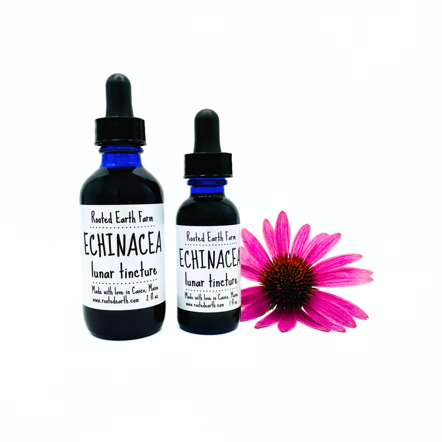 gluten free echinacea extract