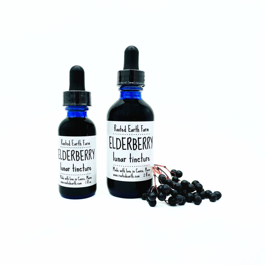 gluten free elderberry extract