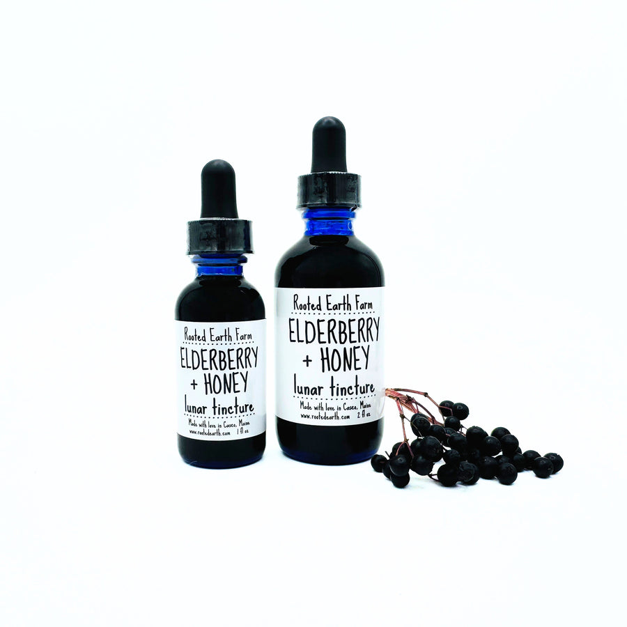 gluten free elderberry honey tincture