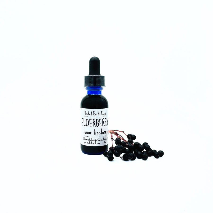 gluten free elderberry tincture