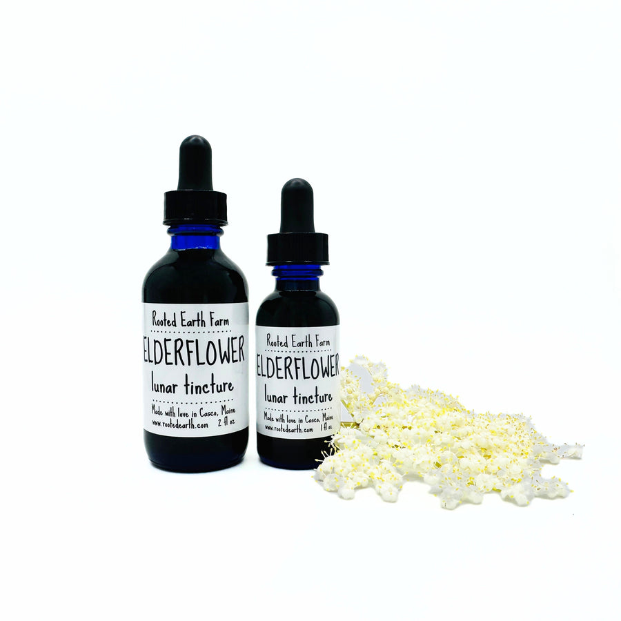 gluten free elderflower extract