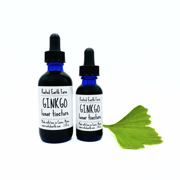 gluten free ginkgo extract