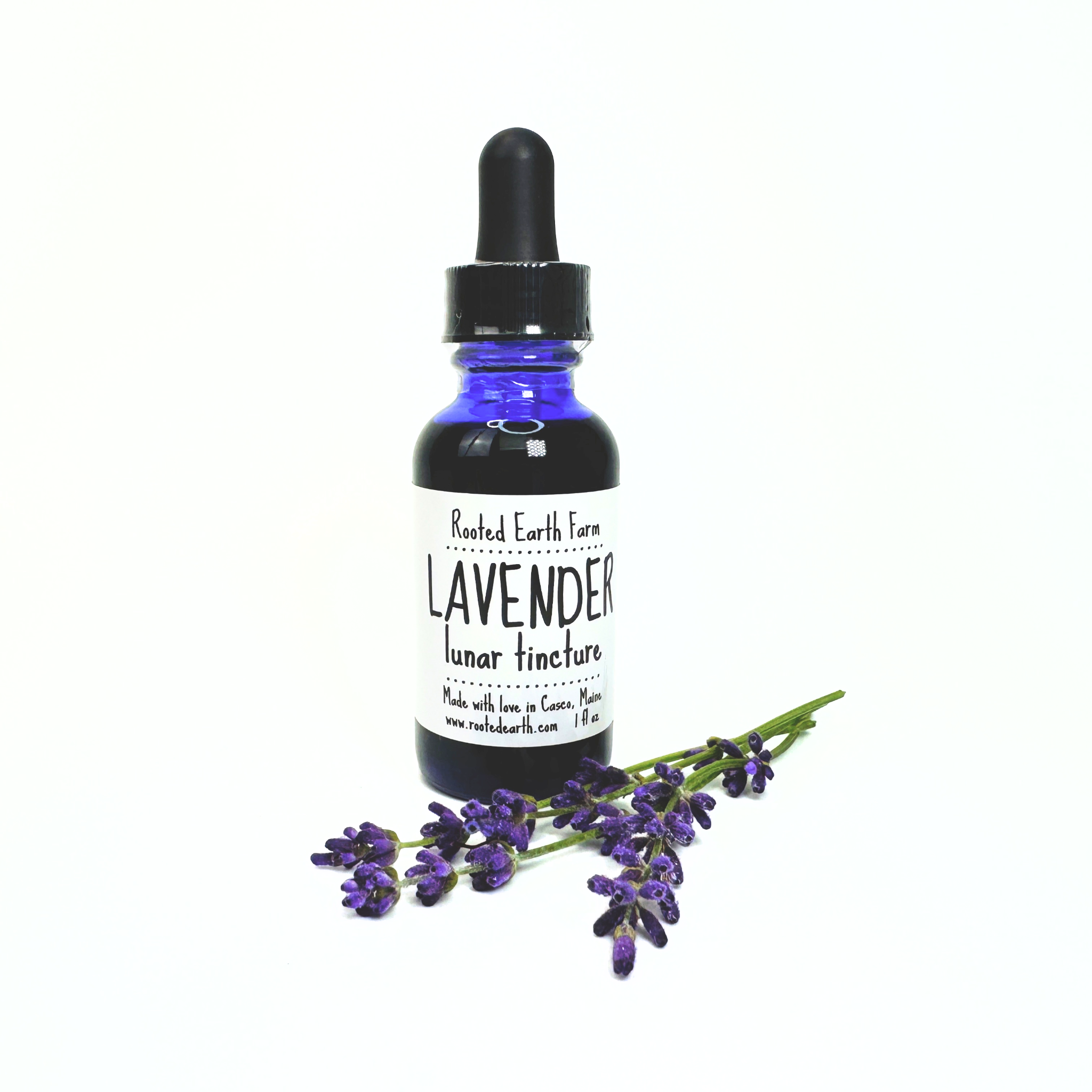 lavender flower extract Lavender Tincture