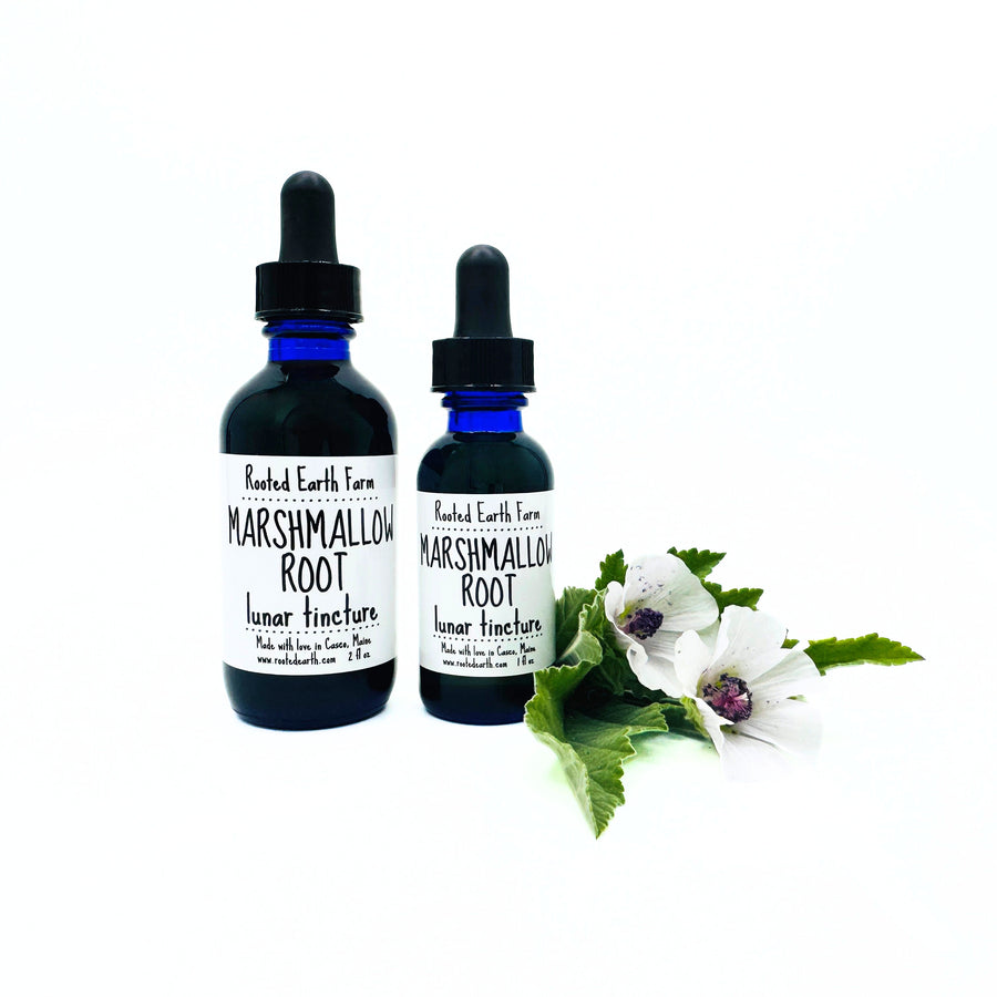 gluten free marshmallow root tincture