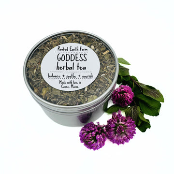 goddess herbal tea tin