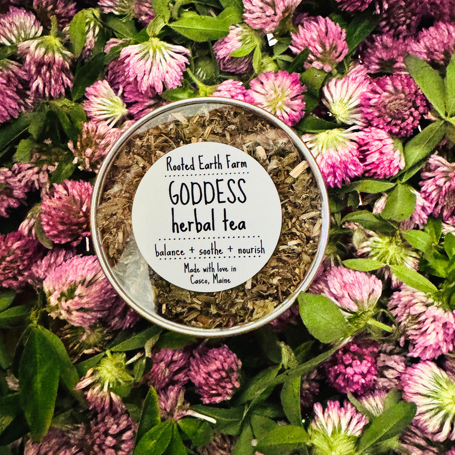 herbal tea for menstruation 