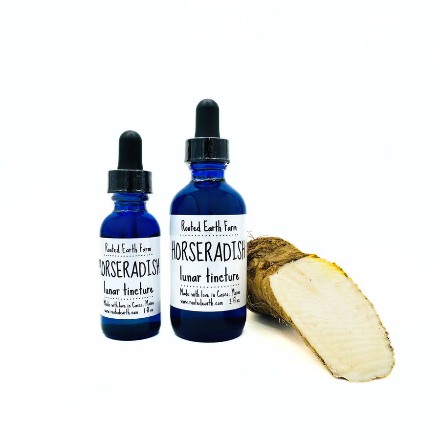 horseradish tincture, organic and gluten free