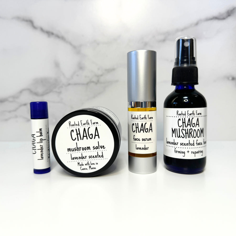 lavender chaga skin care set, moisturizing, anti-aging, lip balm, salve, face serum, face toner