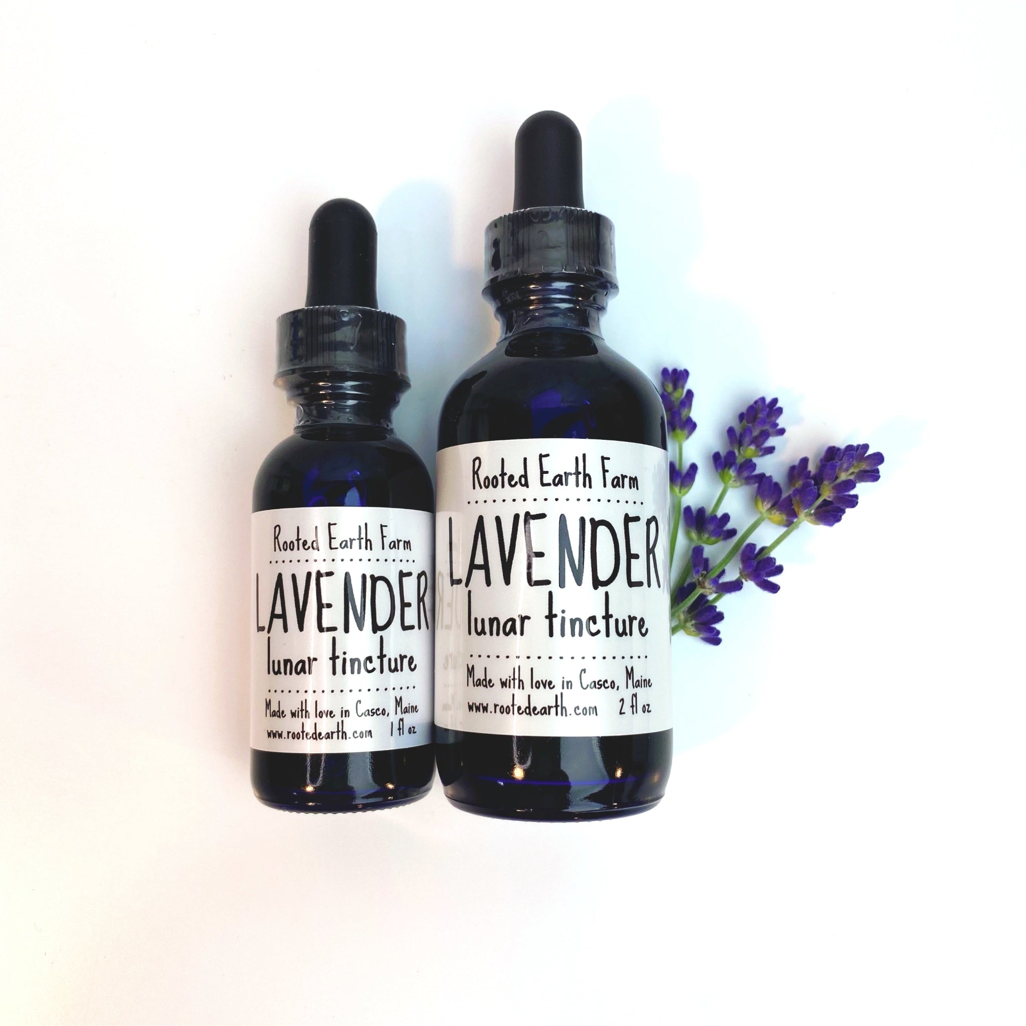 lavender flower supplement Lavender Tincture