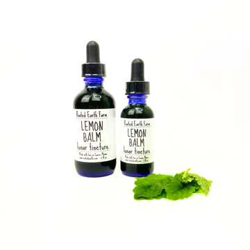 lemon balm tincture