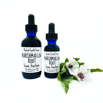 marshmallow root extract