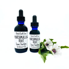 marshmallow root extract