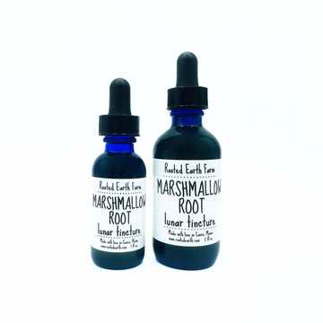 marshmallow root tincture, marshmallow root extract, marshmallow supplement