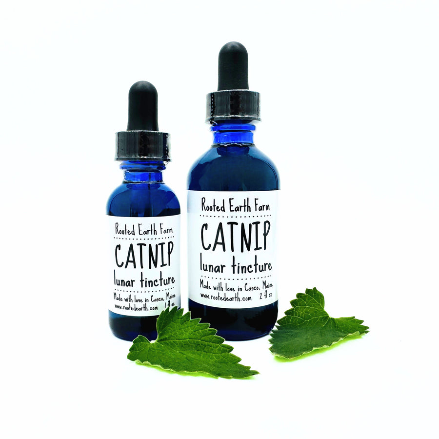 natural catnip tincture for relaxation