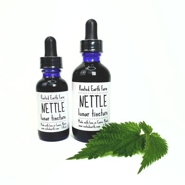 nettle tincture, gluten free nettle tincture, nettle extract