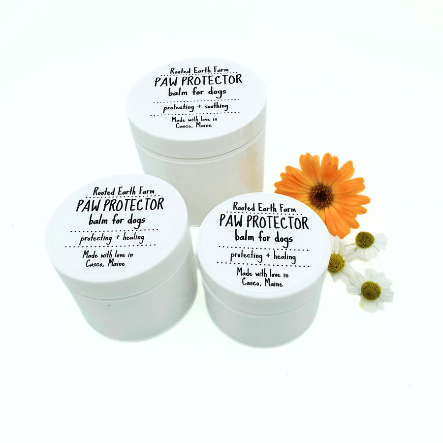 paw protector balm for dogs